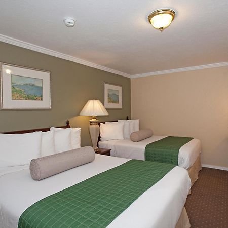Traveler'S Inn Williams, Ca Modern Renovated Hotel Zimmer foto